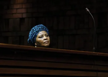 ANC Veterans Warn of Political Decline, Urge Urgent Reforms to Avoid Irrelevance