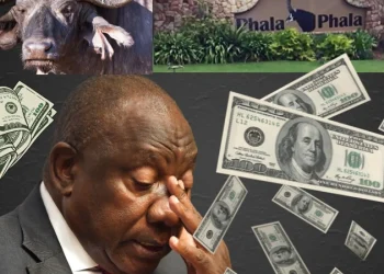 Outrage Follows NPA’s Decision Not to Prosecute President Ramaphosa in Phala Phala Case