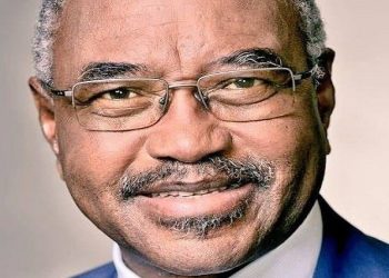 Former KZN Premier Willies Mchunu Resigns from ANC, Citing Disillusionment with Party Direction