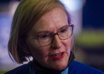 Unproven Allegations Surface as Helen Zille’s Attack on Mkhwebane Faces Backlash