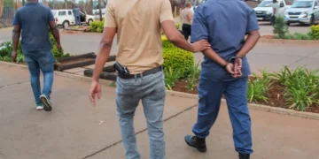 Limpopo Police Officer and Reservist Arrested for Corruption in Dagga-Related Bribery Case
