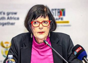 “Kill Them” South Africans Gives Transport Minister Advice On How To Eliminate Construction Mafias