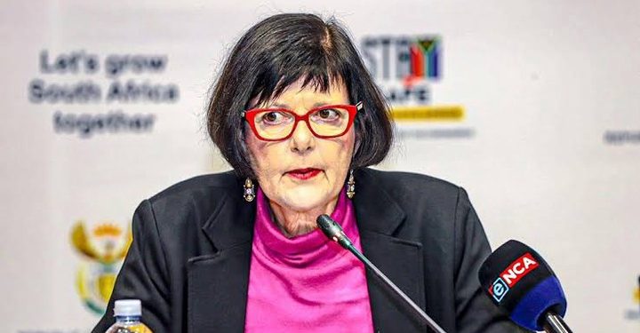 “Kill Them” South Africans Gives Transport Minister Advice On How To Eliminate Construction Mafias