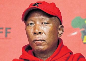 Allegations of Internal Discord and Duduzile Zuma’s Influence Stir Controversy Within the EFF