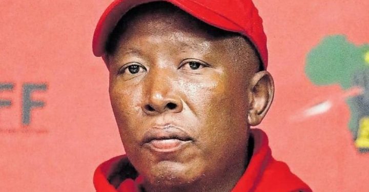 Allegations of Internal Discord and Duduzile Zuma’s Influence Stir Controversy Within the EFF