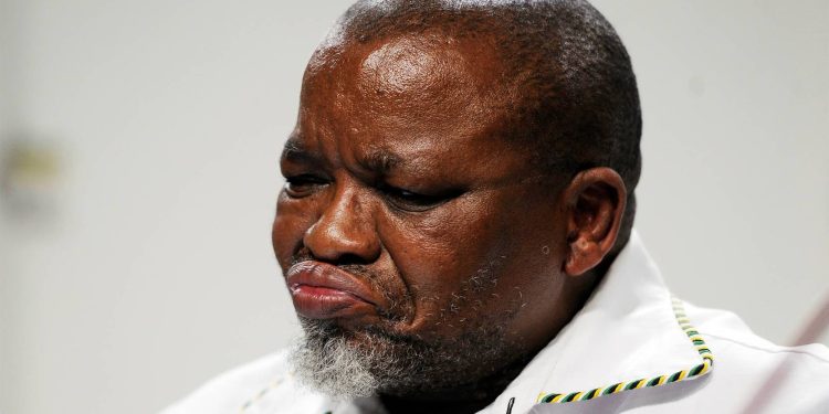 ANC’s Gwede Mantashe Criticizes MK Party’s “Ethno-nationalism” as Divisive Politics