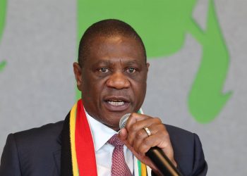 Paul Mashatile Denies Allegations of R10 Billion Housing Project Fraud