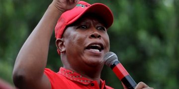 Julius Malema’s Shift on Jacob Zuma: Strategic Move or Political Contradiction?