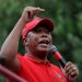 Julius Malema’s Shift on Jacob Zuma: Strategic Move or Political Contradiction?