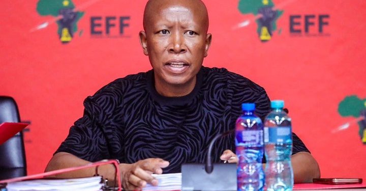 Malema Praises EFF’s Resilience and Unity Amid Challenges at Recent Rally