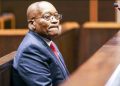 Zuma Faces Criticism for Suggesting Late Advocate Should Shoulder R28.9M Legal Bill