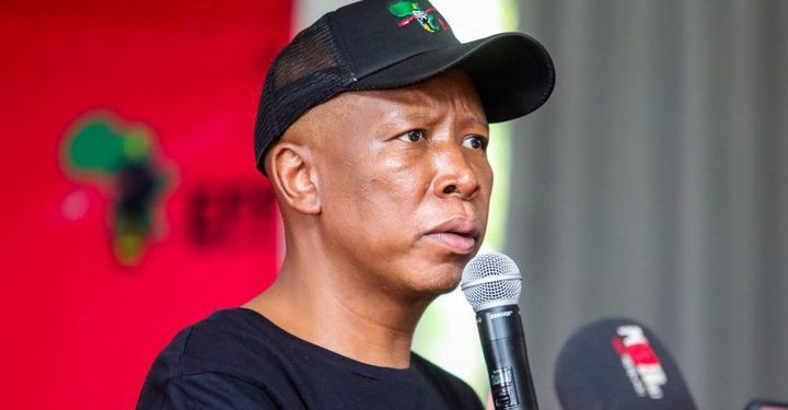 Julius Malema’s Strong Stance on Corruption: EFF Vows to Continue the Fight