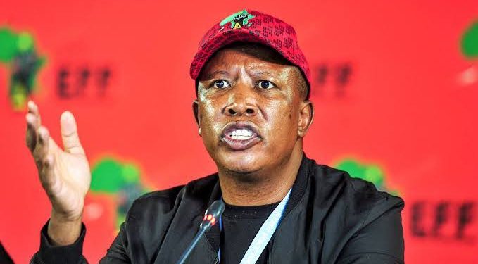 Julius Malema Reaffirms EFF’s Stance Against Jacob Zuma