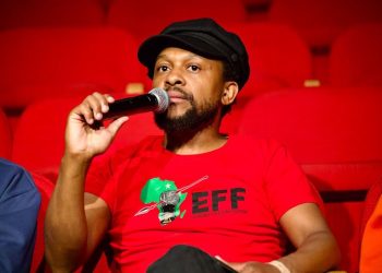 Future of EFF MP Mbuyiseni Ndlozi Uncertain Amid Public Calls to Depart Party