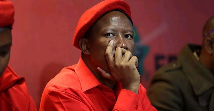 Malema’s Alleged Fuel Tender Links Resurface, Dividing Public Opinion