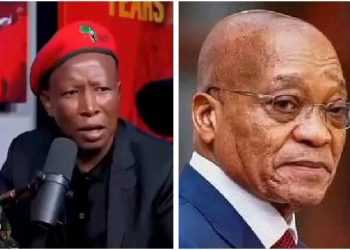 EFF Leader Julius Malema Vows to Confront Zuma’s Influence, Declares No Fear of Former President
