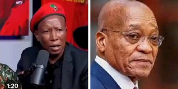 EFF Leader Julius Malema Vows to Confront Zuma’s Influence, Declares No Fear of Former President