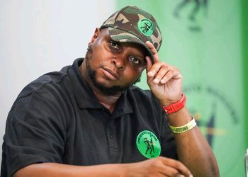 Shivambu’s Take on Zuma’s ANC Struggles Sparks Speculation of Political Realignment