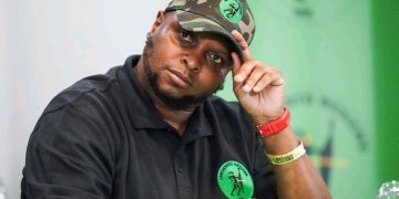 Shivambu’s Take on Zuma’s ANC Struggles Sparks Speculation of Political Realignment