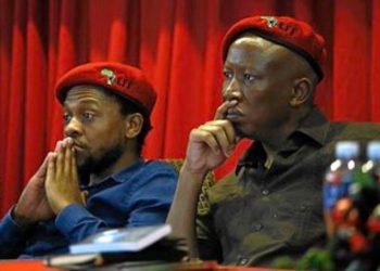 Dr. Mbuyiseni Ndlozi Barred from EFF Summit Amid Internal Party Tensions