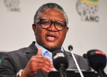 Mbalula Challenges Zille’s PPP Claims, Warns DA of Potential GNU Exit Amid Rising Tensions