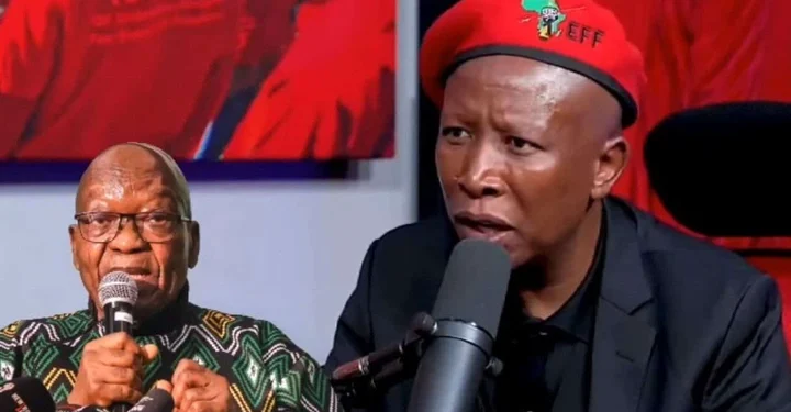 Malema Unmoved by Senior EFF Leaders Joining Zuma’s MK Party, Says He’s “Not Scared” of Fight with Former President