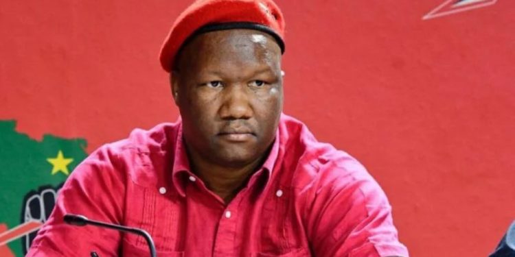 Marshall Dlamini’s Silent Tenure as EFF Secretary-General Raises Questions on Leadership and Legacy