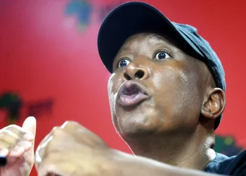 Julius Malema Denies Reports of Rift with Ndlozi Ahead of EFF’s National People’s Assembly