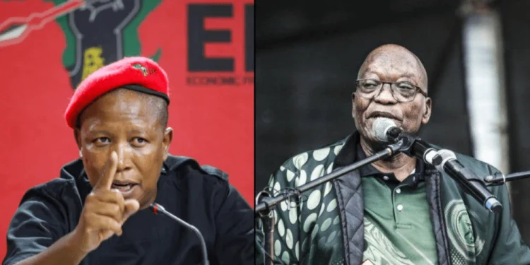 EFF and MK Party Clash Threatens Progressive Bloc Ahead of Elections