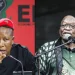 Rising Tensions Between EFF and MK Party Threaten Progressive Alliance Ahead of Elections”