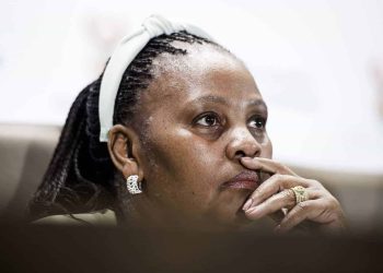 Holomisa Slams Mapisa-Nqakula Over Judiciary Comments Amid Phala Phala Fallout