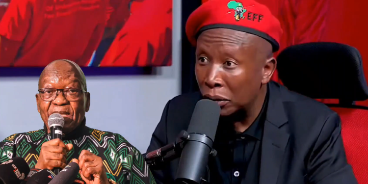 Malema Stands Firm Against Zuma: “I Defeated Him Once and I’ll Do It Again”