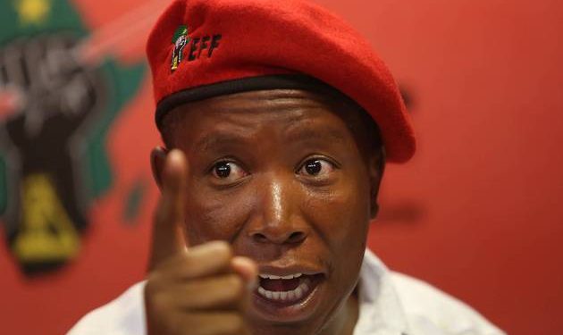Julius Malema Declares ANC as “Immediate Enemy,” Sparks Debate Over EFF’s Alliances