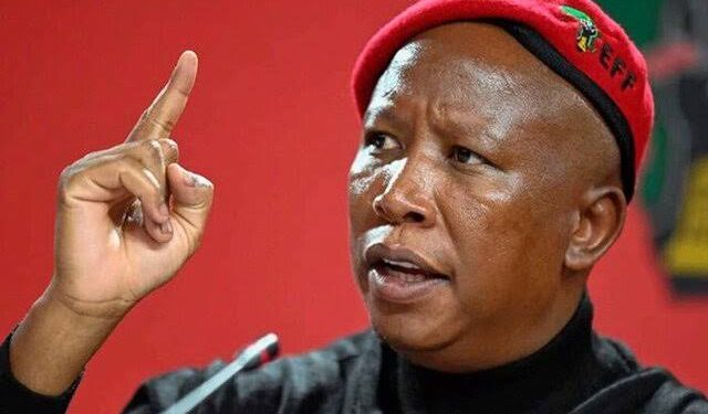 Julius Malema Accuses Jacob Zuma of Targeting Him Over Mbeki Comparisons Leading to ANC Expulsion