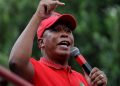 ANC Youth League Leader Invites Julius Malema to Return, But EFF Tensions Persist