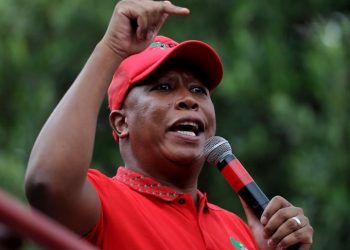 ANC Youth League Leader Invites Julius Malema to Return, But EFF Tensions Persist