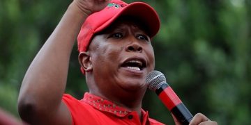 ANC Youth League Leader Invites Julius Malema to Return, But EFF Tensions Persist