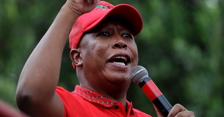 ANC Youth League Leader Invites Julius Malema to Return, But EFF Tensions Persist
