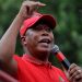 ANC Youth League Leader Invites Julius Malema to Return, But EFF Tensions Persist