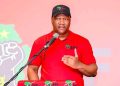 EFF Leadership Vows to Rebuild After Electoral Losses in KZN and Nationwide