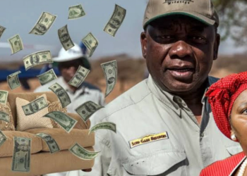 Ramaphosa Faces Double Legal Challenge in Crucial Week for His Presidency