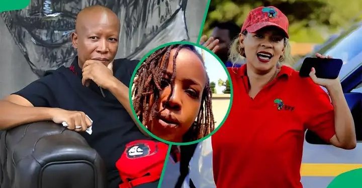 Ntsiki Mazwai Reacts to Julius Malema’s Controversial Reprimand of Leigh-Ann Mathys