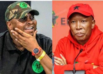 Botswana Lifts Travel Bans on Malema, Shivambu, and Radebe, Signaling Diplomatic Shift