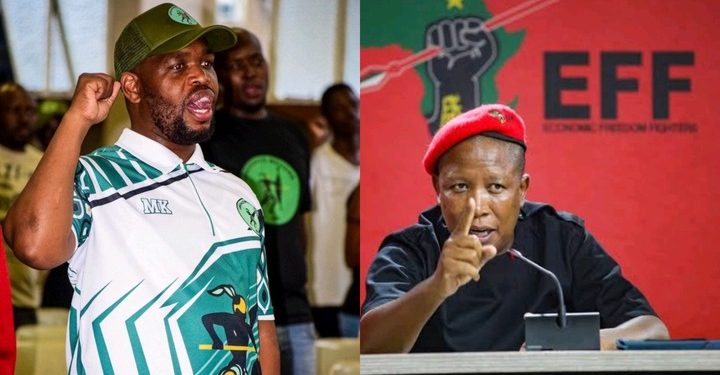 MK Party Supporter Nathi Sithole Slams Julius Malema for “Politics of Insults”