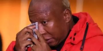 Filmmaker Kganki Mphahlele Speaks Out on EFFSC Expulsion, Calls for Greater Openness to Dissent