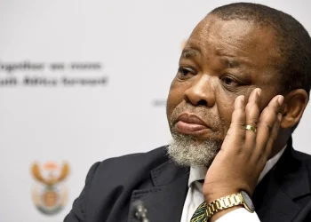 R2 Million Travel Spending by Minerals Ministry Sparks Outrage