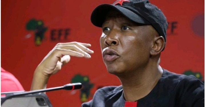 Julius Malema Reflects on Life Without a Father: “I Don’t Feel Like I’ve Missed Out”