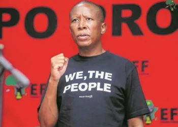 Malema Oversees Limpopo Assembly to Prepare for EFF National Elections