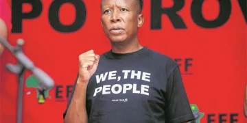 Malema Oversees Limpopo Assembly to Prepare for EFF National Elections