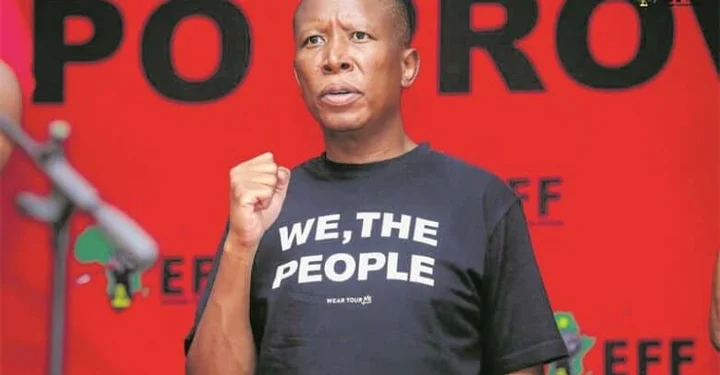 Malema Oversees Limpopo Assembly to Prepare for EFF National Elections